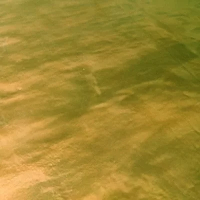 Swatch image