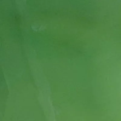 Swatch image